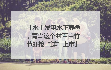 水上发电水下养鱼，青岛这个村百亩竹节虾抢“鲜”上市