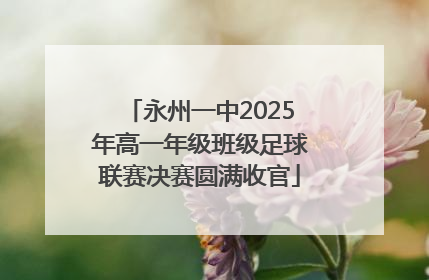 永州一中2025年高一年级班级足球联赛决赛圆满收官