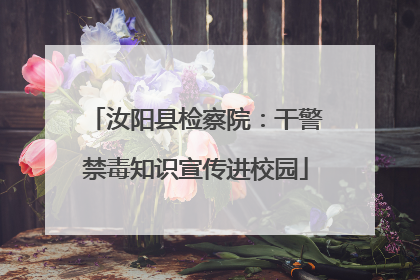 汝阳县检察院：干警禁毒知识宣传进校园