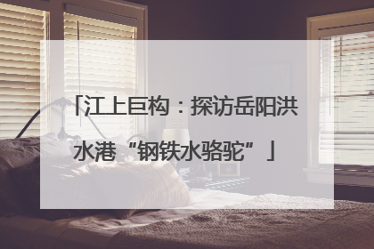 江上巨构：探访岳阳洪水港“钢铁水骆驼”