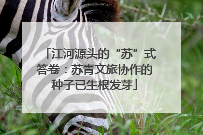 江河源头的“苏”式答卷：苏青文旅协作的种子已生根发芽