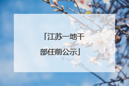 江苏一地干部任前公示