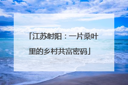 江苏射阳：一片桑叶里的乡村共富密码