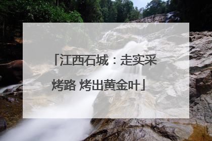 江西石城：走实采烤路 烤出黄金叶