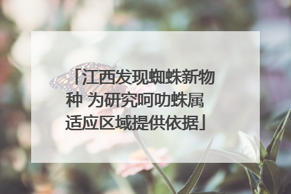 江西发现蜘蛛新物种 为研究呵叻蛛属适应区域提供依据