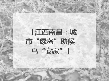 江西南昌：城市“绿岛”助候鸟“安家”