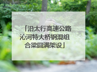 沿太行高速公路沁河特大桥钢混组合梁圆满架设