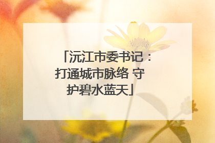 沅江市委书记：打通城市脉络 守护碧水蓝天