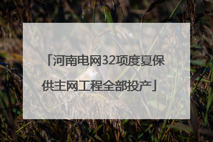 河南电网32项度夏保供主网工程全部投产