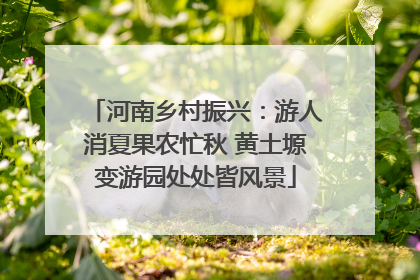 河南乡村振兴：游人消夏果农忙秋 黄土塬变游园处处皆风景
