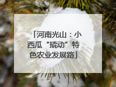 河南光山：小西瓜“撬动”特色农业发展路