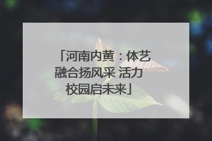 河南内黄：体艺融合扬风采 活力校园启未来