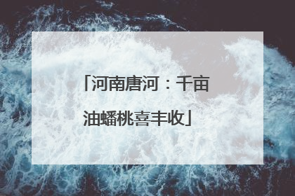 河南唐河：千亩油蟠桃喜丰收