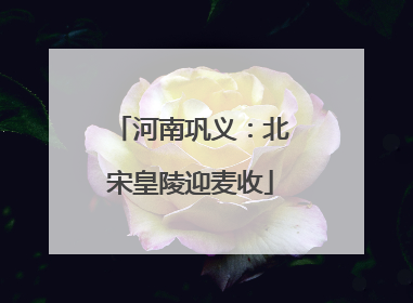河南巩义：北宋皇陵迎麦收