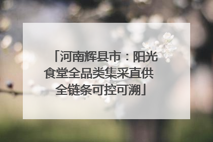 河南辉县市：阳光食堂全品类集采直供 全链条可控可溯