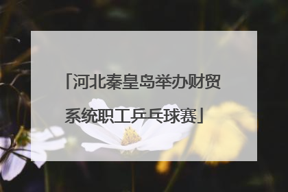 河北秦皇岛举办财贸系统职工乒乓球赛