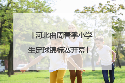 河北曲周春季小学生足球锦标赛开幕