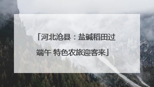 河北沧县：盐碱稻田过端午 特色农旅迎客来