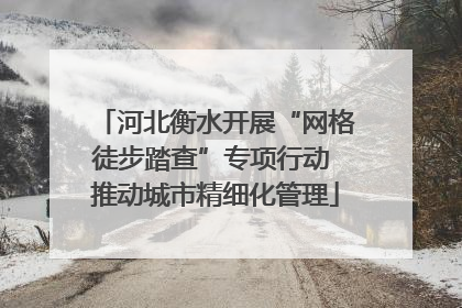 河北衡水开展“网格徒步踏查”专项行动 推动城市精细化管理