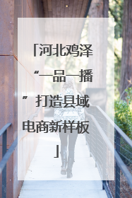 河北鸡泽“一品一播”打造县域电商新样板
