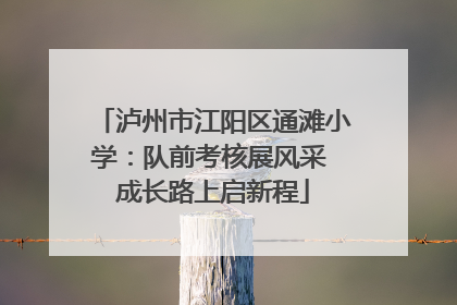 泸州市江阳区通滩小学：队前考核展风采 成长路上启新程