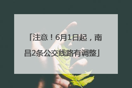 注意！6月1日起，南昌2条公交线路有调整