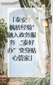 泰安：“枫桥经验”融入政务服务 “泰好办”变身贴心管家