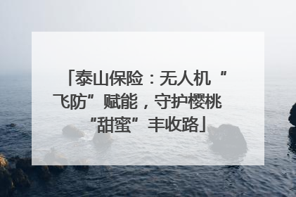 泰山保险：无人机“飞防”赋能，守护樱桃“甜蜜”丰收路