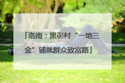 洛南：黑彰村“一地三金”铺就群众致富路