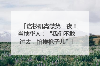 洛杉矶宵禁第一夜！当地华人：“我们不敢过去，怕挨枪子儿”
