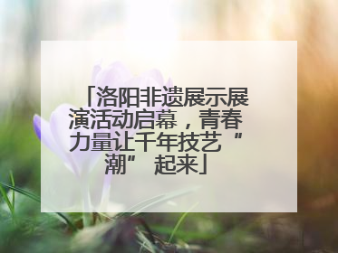 洛阳非遗展示展演活动启幕，青春力量让千年技艺“潮” 起来