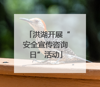 洪湖开展“安全宣传咨询日”活动