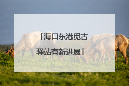 海口东港觅古驿站有新进展