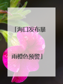 海口发布暴雨橙色预警