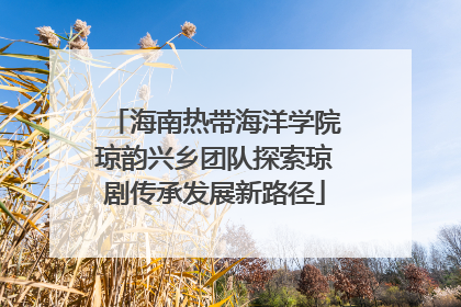 海南热带海洋学院琼韵兴乡团队探索琼剧传承发展新路径