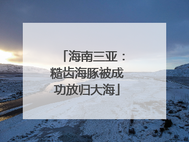 海南三亚：糙齿海豚被成功放归大海