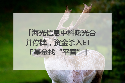 海光信息中科曙光合并停牌，资金杀入ETF基金找“平替”
