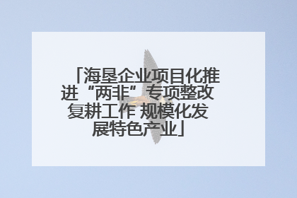 海垦企业项目化推进“两非”专项整改复耕工作 规模化发展特色产业