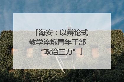 海安：以辩论式教学淬炼青年干部“政治三力”