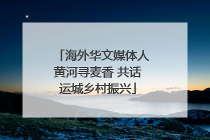 海外华文媒体人黄河寻麦香 共话运城乡村振兴