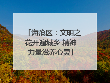 海沧区：文明之花开遍城乡 精神力量滋养心灵