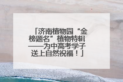 济南植物园“金榜题名”植物特辑——为中高考学子送上自然祝福！