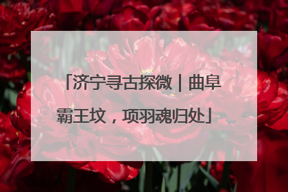 济宁寻古探微｜曲阜霸王坟，项羽魂归处