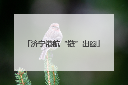 济宁港航“链”出圈