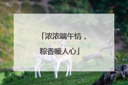 浓浓端午情，粽香暖人心