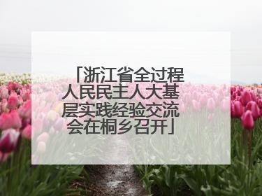 浙江省全过程人民民主人大基层实践经验交流会在桐乡召开