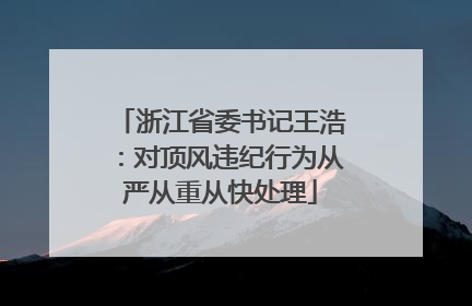 浙江省委书记王浩：对顶风违纪行为从严从重从快处理