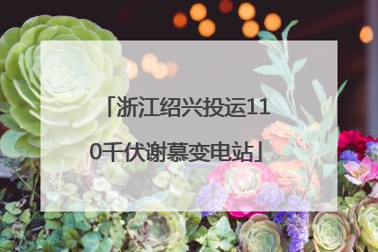 浙江绍兴投运110千伏谢慕变电站