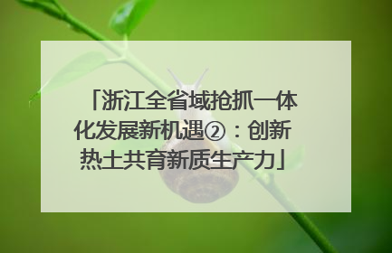 浙江全省域抢抓一体化发展新机遇②：创新热土共育新质生产力