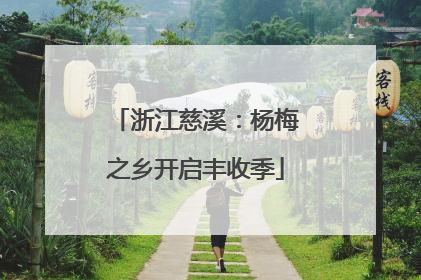 浙江慈溪：杨梅之乡开启丰收季